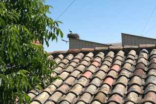 Finca Bienvenido Tejado