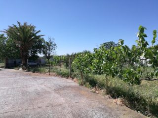 Alquiler casa rustica en Corella Navarra accesos independiente