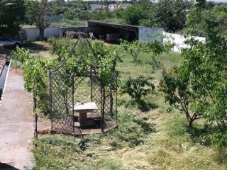 Alquiler casa rustica en Corella Navarra árboles frutales