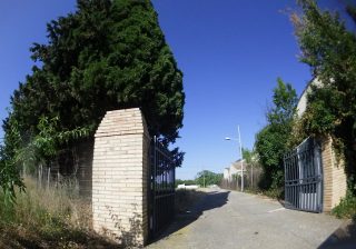 Alquiler finca Corella Navarra (60