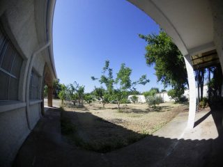 Finca-Bienvenido--Alquiler-finca-rustica-Corella-Navarra-Terreno2