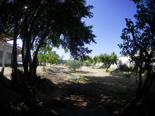 Finca-Bienvenido--Alquiler-finca-rustica-Corella-Navarra-Terreno3